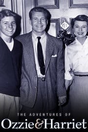 Watch The Adventures of Ozzie and Harriet Season 1 Episode 34 - Door Key for David