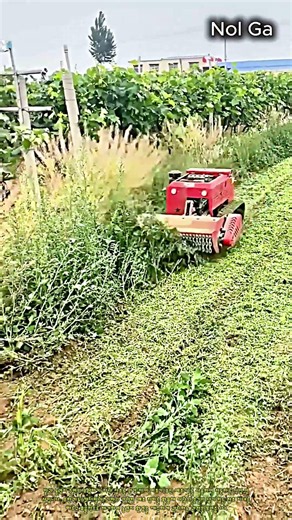 무인 원격 제어 예초기로 잡초 깔끔하게 정리하기 #worker #process #mower #farm #mowing