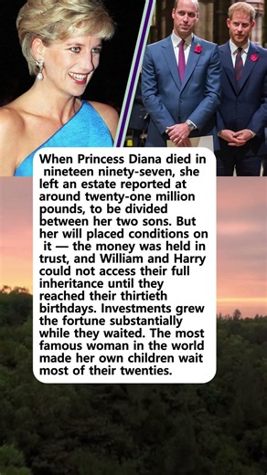 Diana's Sons Had To Wait Years To Touch Her Money