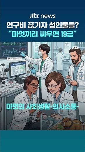 "마멋끼리 싸우면 19금"…연구비 끊기자 성인물 플랫폼 활용해 동물 영상 올린 연구팀 #JTBC #Shorts
