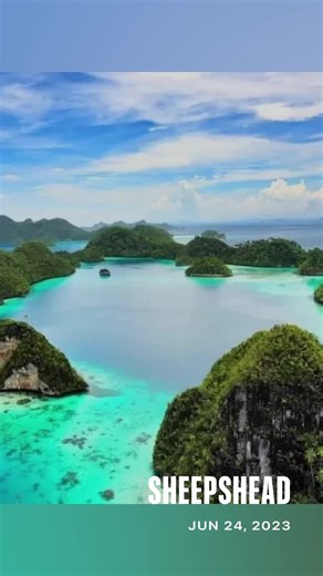 Sheepshead: Fish with teeth. #travel #fish #sheepshead