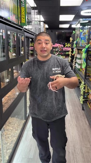 These are our top 3 beginner reptile picks here Everyone is different and one species may be a better fit for your family than another… but generally these 3 are great to get your foot in the door in keeping your first pet reptile! Open every day of the week, come on in and our staff will be happy to talk to you about what reptile might be the best for you and your family! Never any pressure, we are just happy to help you find the perfect animal and take care of them as best as possible! #bearde