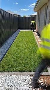 Proof That Simple Landscaping Wins #homedesign #landscaping