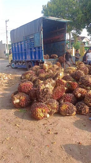 Irwan (@irwan12.lsim)’s videos with suara asli - DJiamputh