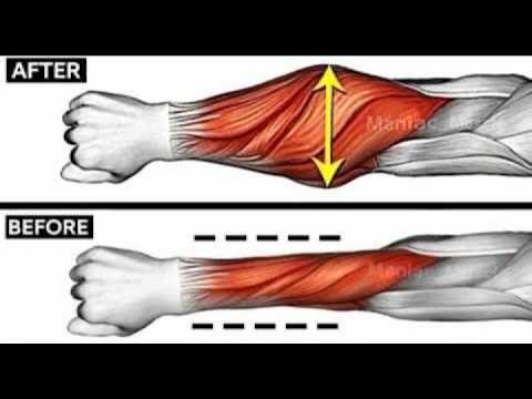 The BEST FOREARMS Workout for MASSIVE Gains (9 EXERCISES)