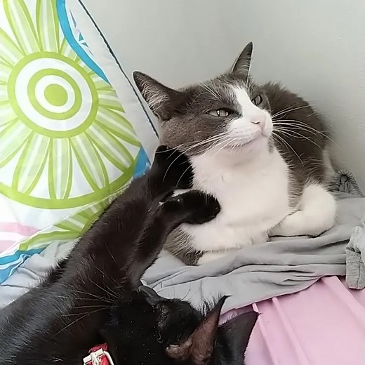 Drawn Mask | Mode mode | Instagram