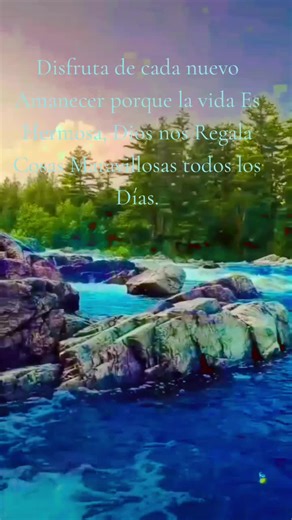 Disfruta de cada nuevo Amanecer