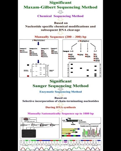 Significant of Maxam-Gilbert and Sanger Sequencing Methods #geneticteacher