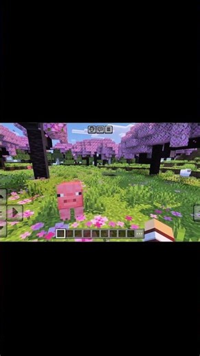 shaders mode enable #minecraft