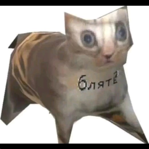 冷知识:已经解冻一半了