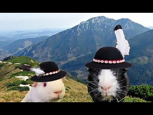 Tatry - najciekawsze miejsca, atrakcje turystyczne, najważniejsze szczyty, rośliny i zwierzęta