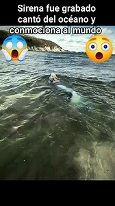 545K views · 3.4K reactions | Sirena fue grabado cantó del océano y conmociona al mundo #direna | Revelando Misterios. | Facebook