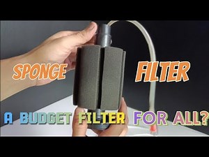 Setting up Fish/Aquascape Sponge Filters? Maintenance & Tips: Here's all that you need!