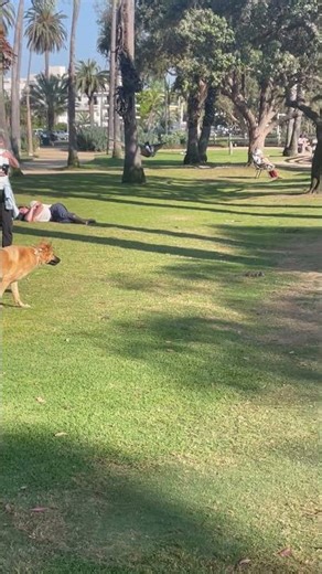 Prey at Palisades Park, Santa Monica