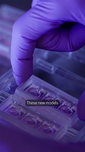 IHB: The next-generation of human model systems