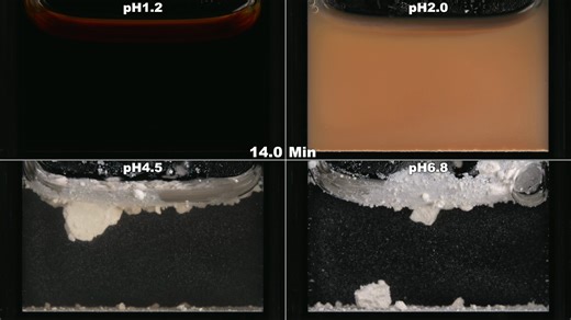 把一个API放入不同pH恒温介质中