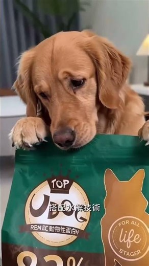 UDOG All Ages Dog Food 13.6kg Garden Play, Prairie Feast
