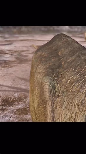 Extinct Era on Instagram: "Mapusaurus was a large carcharodontosaurid theropod from the Late Cretaceous of what is now Argentina, known from the Huincul Formation. Most estimates place it around 10 to 11 meters long (33 to 36 feet), making it one of the larger land predators of its time, with some studies suggesting larger maximum sizes. Multiple Mapusaurus individuals were found together in a single bonebed. This has been used to discuss possible gregarious behavior, but it does not demonstrate