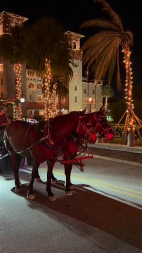 Seeing Saint Augustine by horse and carriage feels like stepping into a storybook. The best memories are made when they’re shared—and this is one everyone will be talking about long after the holidays are over. ✨ Book your group ride now and share the magic. #carriageride #horseandcarriage #floridahistoriccoast #staugustine | The Tasting Tours, LLC