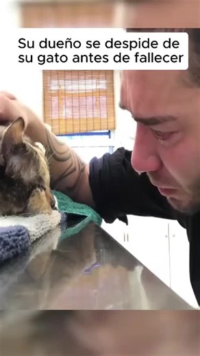 Perder una mascota: el amor incondicional que se va