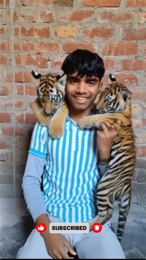 Tutorial tiger fliter 😱😈#fliter #tiger #viral #shorts #trading#tricks #challenge #tech