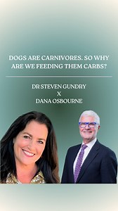 Ever wonder why most dog foods are packed with carbs? Here’s what most people don’t know: 🐾 Dogs are omnivores… but they’re mostly carnivores. In the wild, their ancestors (wolves) thrived on organ meats, muscle meat, and only small amounts of berries or grasses. But here’s what they’re actually eating today: ⚠️ Kibble made with 40-60% carbs to bind the pieces together ⚠️ High-heat processing that destroys nutrients ⚠️ Ingredients designed for convenience, not canine biology Here’s the kicker: 