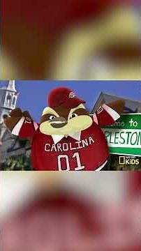 South Carolina Has a Town Called WHAT? | 50 Birds, 50 States | ‪@natgeokids‬