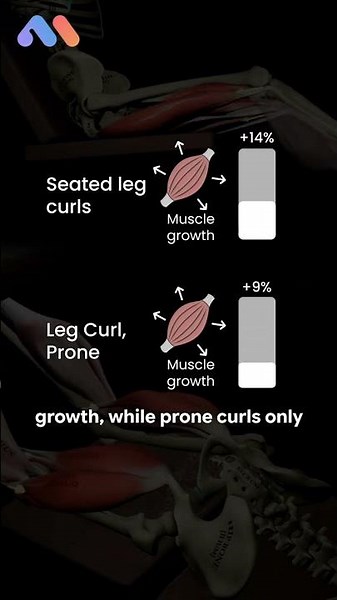 Seated vs. Prone Leg Curls: Which builds more muscle? 🦵
