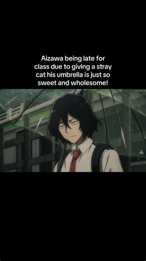My Hero Academia: Aizawa's Sweet Gesture for a Stray Cat