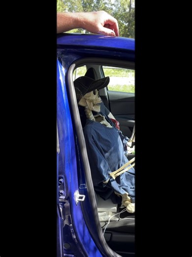 Brandi Spring❌ (@brandispring600)’s videos with Bad to the Bone - B.sound