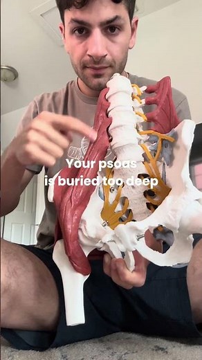 How to release the psoas #psoas #psoasrelease