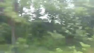 117K views · 1.2K reactions | Julie Spaulding shared this video with us which shows her traveling from Arcade to Java. You can share photos/videos with #BeOn2 and you could see them on-air. | WGRZ - Channel 2, Buffalo | Facebook