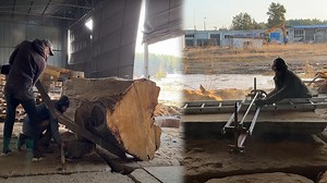 Transforming Giant Logs Into Thick Slabs In Woodworking
