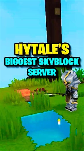 Hytale's Biggest Skyblock Server Is Crazy...