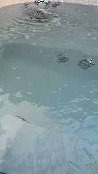 Installing 240V 40 amp Electrical for a Hot Tub Jacuzzi 50 amp GFCi Breaker and #6Wire #electricial