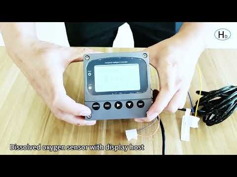 Dissolved oxygen sensor with display host