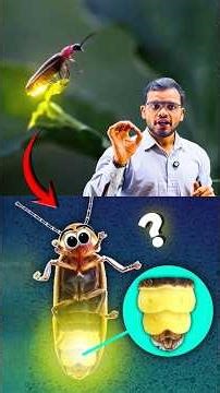 Jugnu | #science #education #physics #learning #experiment