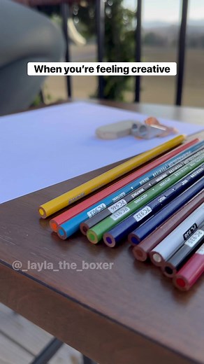 321K views · 10K reactions | It’s an original Pawcasso!  Also posted on my main account Layla the Boxer ❤️ We hope everyone is enjoying their first day of the new year! We will be on vacation through Friday but I had to take advantage of the nice day to get a skit in  #funnydogs #dogskit #skit #dogactor #australianshepherd #heeler #whiteboxer #boxer #boxerdog #dogvideos #cutedogs #comedy #comedyskit #funnydogvideos | Manthy’s | Facebook