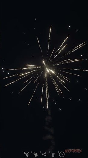 The junk 1 shot #fireworks #pyro
