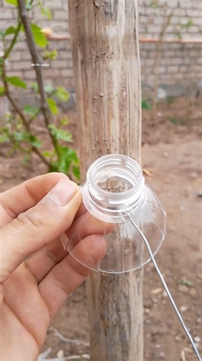 Simple Bottle Cap Hack for a Tight Clothesline!" #shorts #lifehack