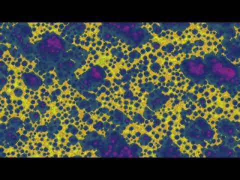 Excelsiorg - Overstellar Interdrive