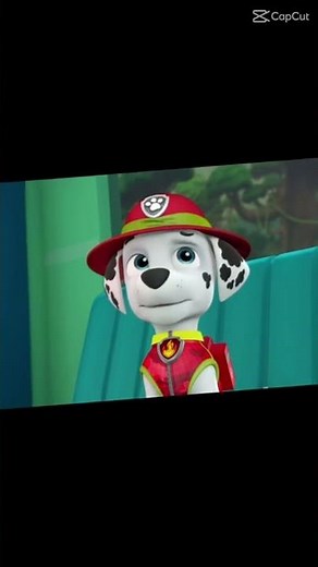 Paw Patrol Marshall Sad Edit 😞💔