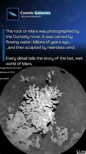 This Rock on Mars is a Message from an Ancient Ocean 🌊 #Space