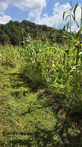 By the pricking of our thumbs, something weird and wicked this way comes! 👽⛰️✨ From October 19th to the 31st, Ellijay, Georgia, comes alive online with stories, small-town haunts, and that unmistakable fall magic that only the Southern Appalachians can offer. 👣 Join us across our social media for 13 nights of Cryptober, a digital Halloween celebration filled with local lore, eerie charm, and mountain mystery. 🎃 Settle in and see what the season brings when the mist rolls over the hills.🌫️ Vi