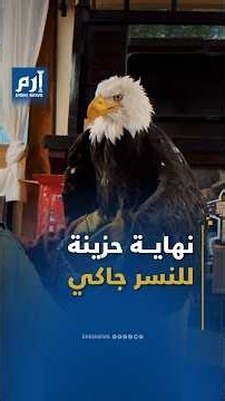 جاكي.. نهاية حزينة لأنثى النسر التي تابعها الملايين