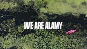 12K views · 409 reactions | Save 30% on premium stock video from...