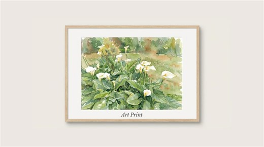 White Calla Lily Watercolor Painting, Floral Botanical Wall Art (digital Download) - Etsy