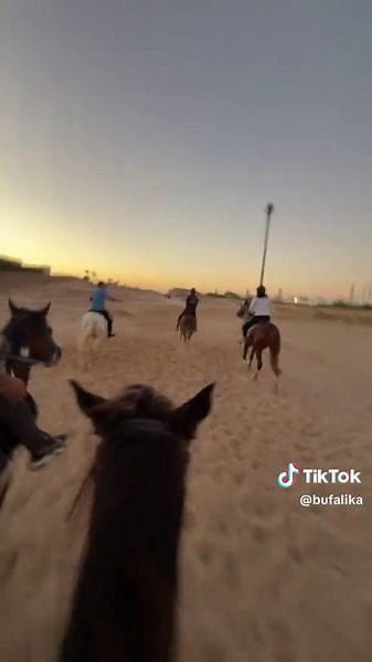 فيديوهات أنشأها Bufalika (@bufalika) باستخدام NEMESI - Marracash & BLANCO