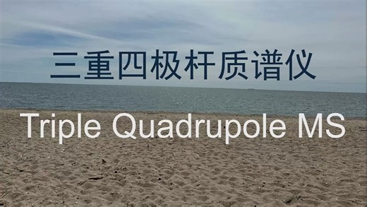 【原理】TQMS三重四极杆质谱仪