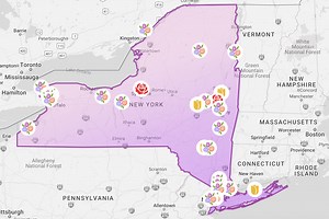 This interactive map highlights where flowers are blooming in New York